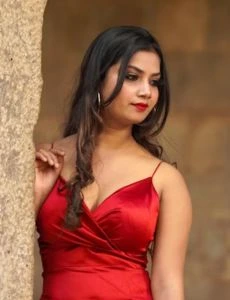 call girl service in Gyaraspur